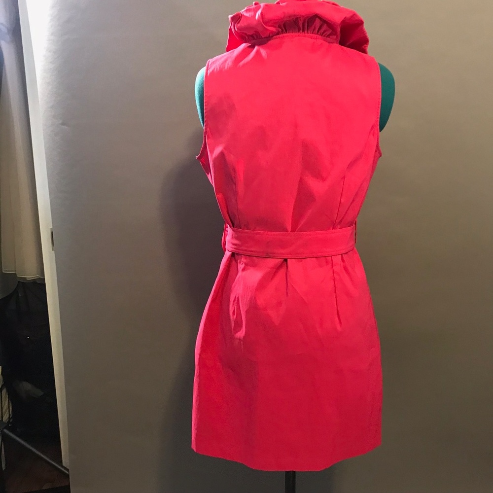 Samuel Dong Raspberry Ruffle Collar Dress Large - Picture 3 of 8